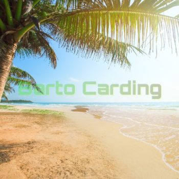 Telegram channel BartoCarding logo